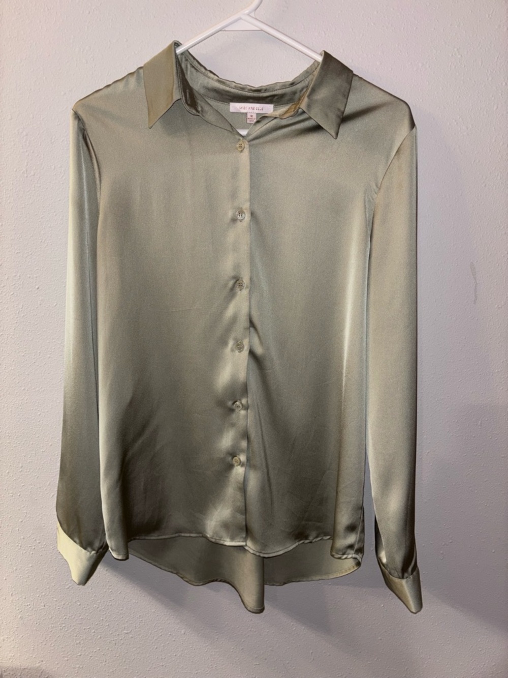 Skies Are Blue Satin Button-Front Blouse in Light Sage Green